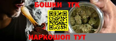 прущие грибы Камышлов
